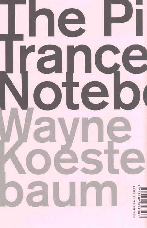 Produktbild: The Pink Trance Notebooks