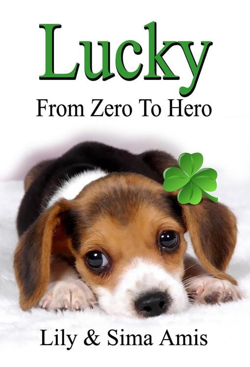 Produktbild: Lucky - From Zero to Hero
