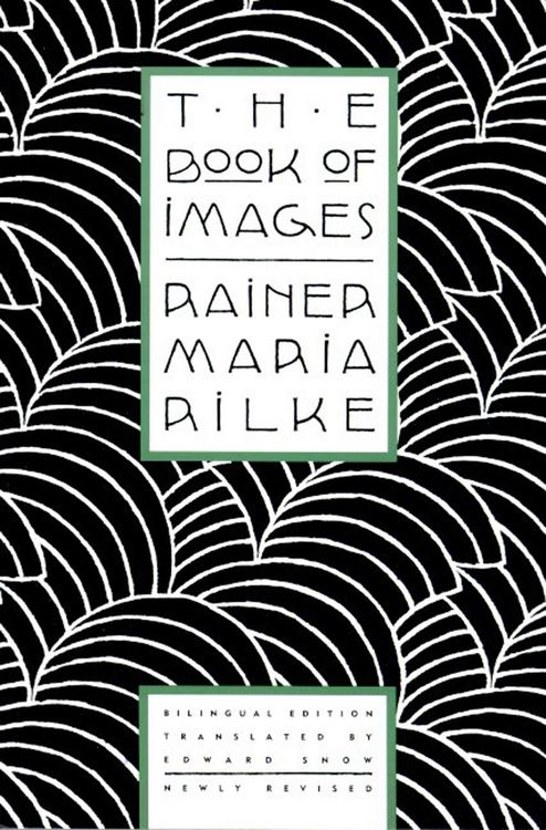 Produktbild: The Book of Images