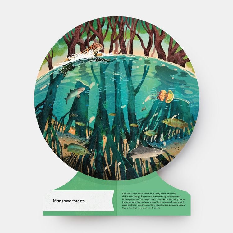Produktbild: Our Underwater World