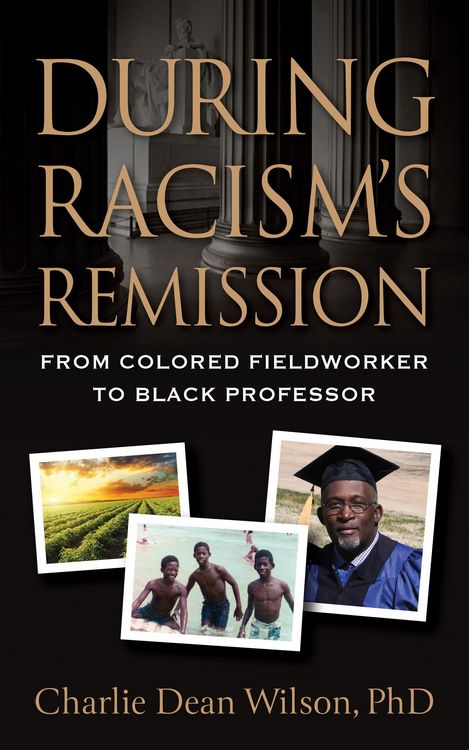 Produktbild: During Racism's Remission