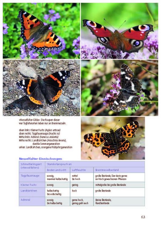 Produktbild: Besonders: Schmetterlinge