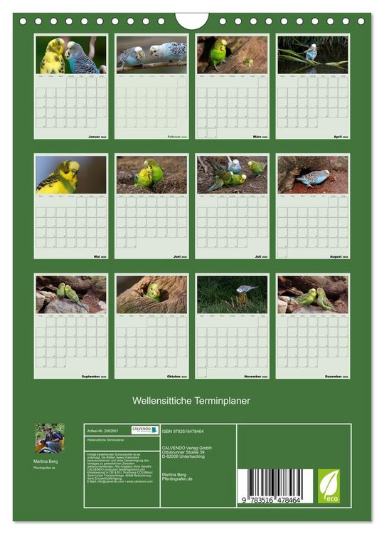 Produktbild: Wellensittiche Terminplaner (Wandkalender 2026 DIN A4 hoch), CALVENDO Monatskalender