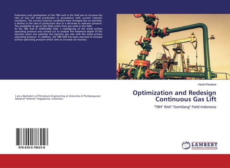 Produktbild: Optimization and Redesign Continuous Gas Lift