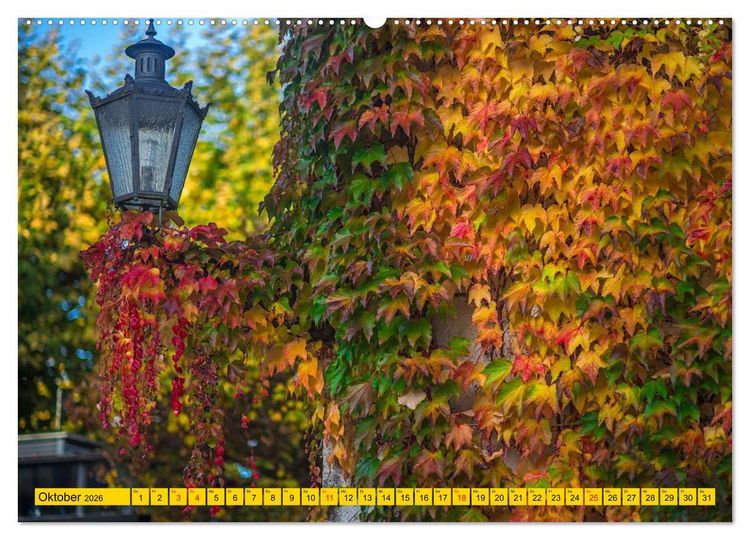 Produktbild: Immenstaad am sch&ouml;nen Bodensee (Wandkalender 2026 DIN A2 quer), CALVENDO Monatskalender