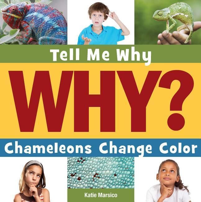 Produktbild: Chameleons Change Color