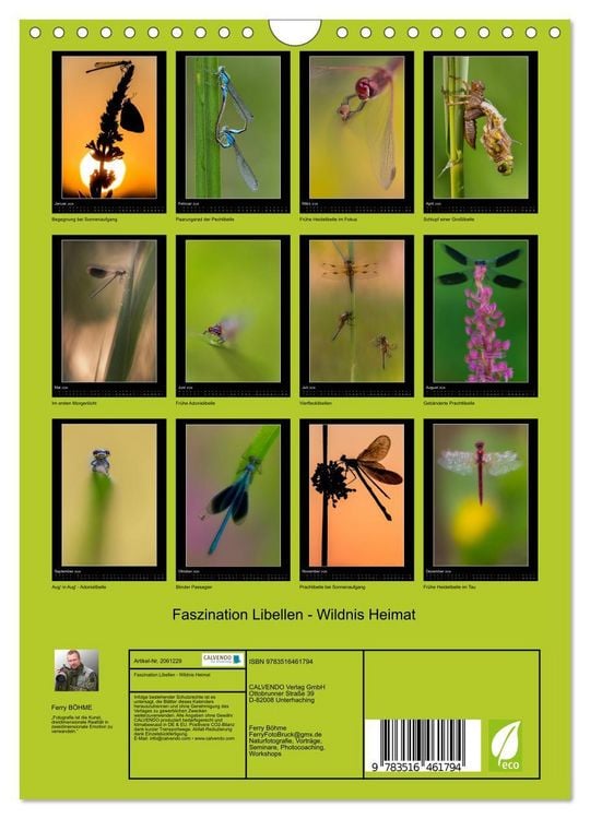 Produktbild: Faszination Libellen - Wildnis Heimat (Wandkalender 2026 DIN A4 hoch), CALVENDO Monatskalender