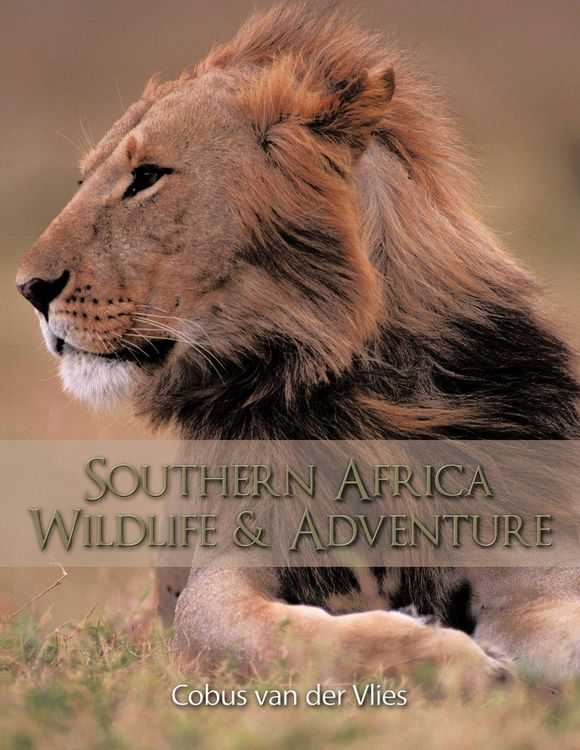 Produktbild: Southern Africa Wildlife and Adventure