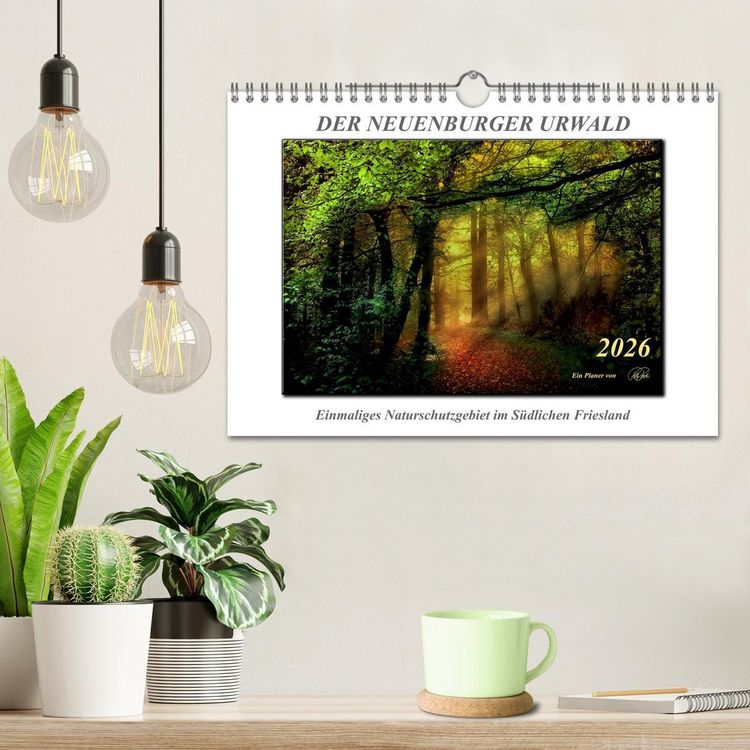 Produktbild: Der Neuenburger Urwald (Wandkalender 2026 DIN A4 quer), CALVENDO Monatskalender