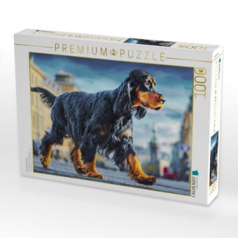 Produktbild: CALVENDO Puzzle Der Gordon Setter | 1000 Teile Lege-Gr&ouml;&szlig;e 64x48cm Foto-Puzzle f&uuml;r gl&uuml;ckliche Stunden