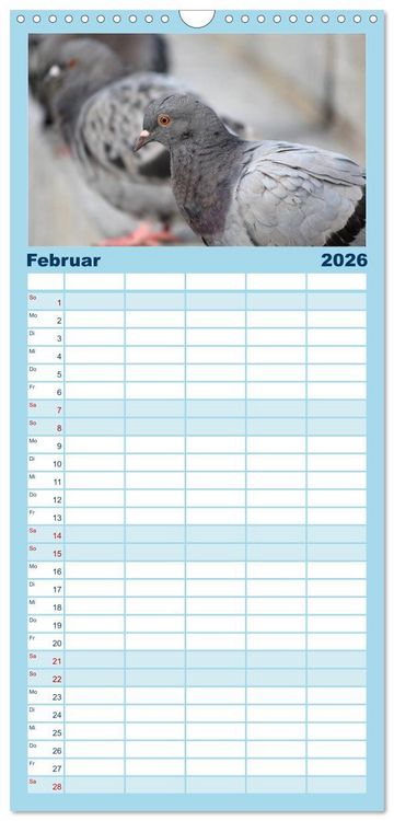 Produktbild: Familienplaner 2026 - Geliebte Tauben mit 5 Spalten (Wandkalender, 21 x 45 cm) CALVENDO