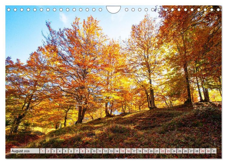 Produktbild: Herbstflammen im Karwendel- und Wettersteingebirge (Wandkalender 2026 DIN A4 quer), CALVENDO Monatskalender