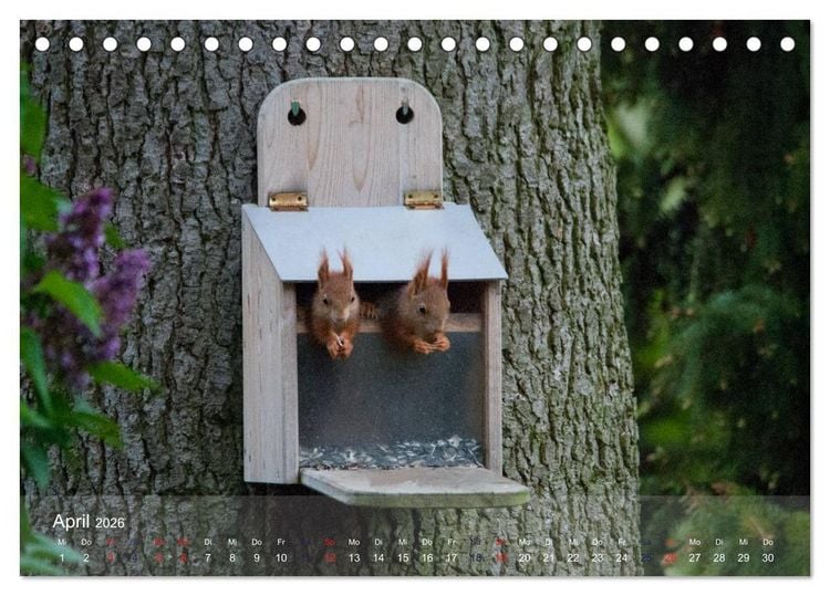 Produktbild: Spa&szlig; mit Eichh&ouml;rnchen-Kindern (Tischkalender 2026 DIN A5 quer), CALVENDO Monatskalender