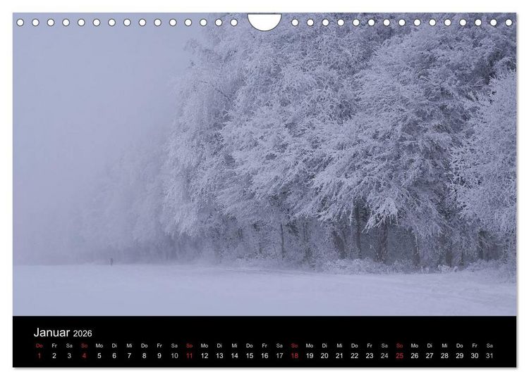 Produktbild: Mysterium Wald (Wandkalender 2026 DIN A4 quer), CALVENDO Monatskalender