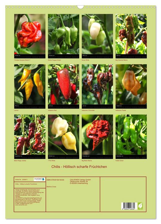 Produktbild: Chilis - H&ouml;llisch scharfe Fr&uuml;chtchen (Wandkalender 2026 DIN A2 hoch), CALVENDO Monatskalender