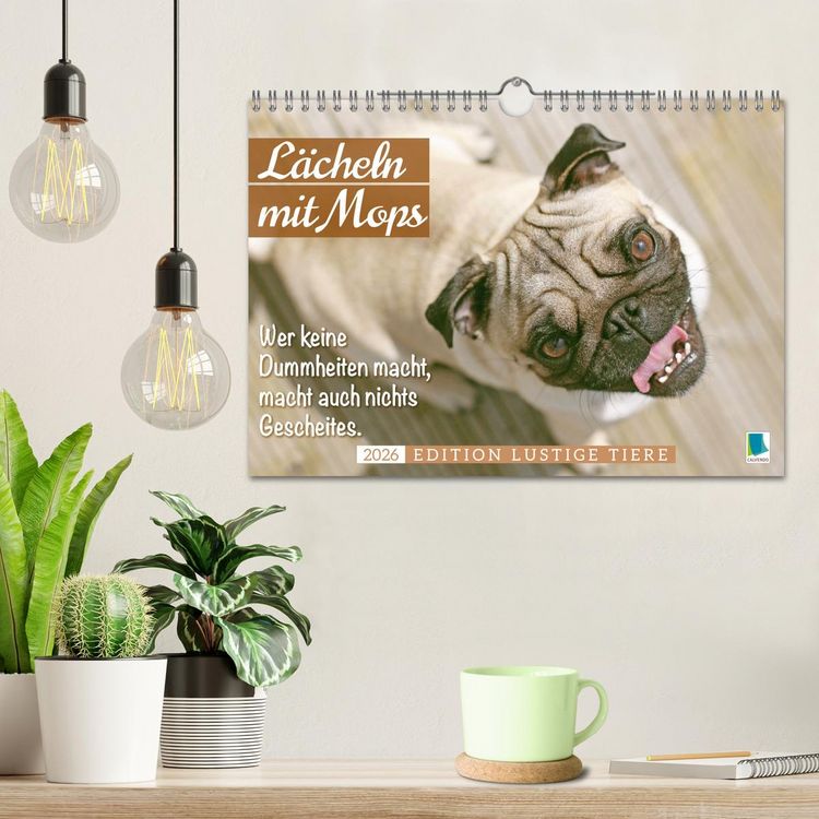 Produktbild: L&auml;cheln mit Mops (Wandkalender 2026 DIN A4 quer), CALVENDO Monatskalender