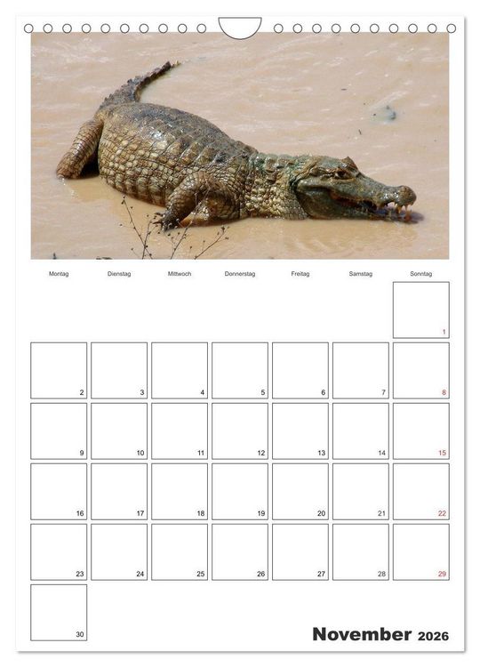 Produktbild: Venezuela - Land der Kontraste (Wandkalender 2026 DIN A4 hoch), CALVENDO Monatskalender