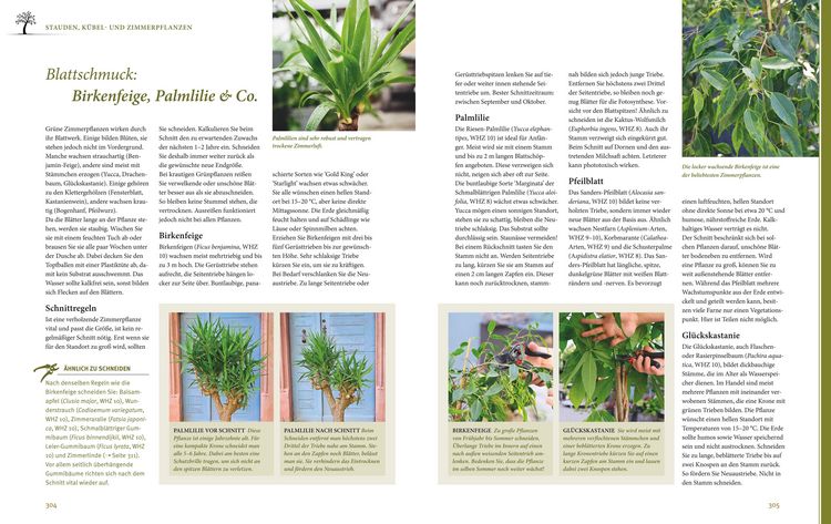 Produktbild: Das gro&szlig;e GU Praxishandbuch Pflanzenschnitt