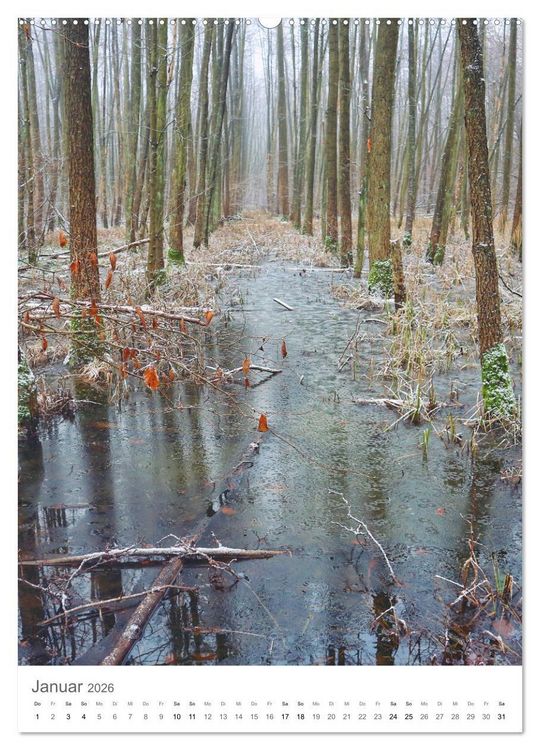 Produktbild: Wald - bezaubernde Landschaften (Wandkalender 2026 DIN A2 hoch), CALVENDO Monatskalender