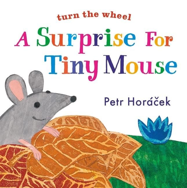 Produktbild: A Surprise for Tiny Mouse