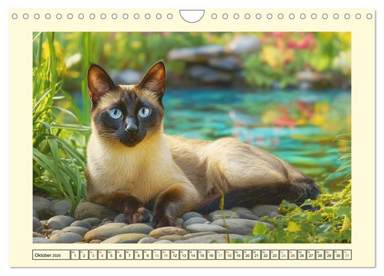 Produktbild: Edle Siamkatzen. Anmut und Charakter im Spiel mit der Natur (Wandkalender 2026 DIN A4 quer), CALVENDO Monatskalender