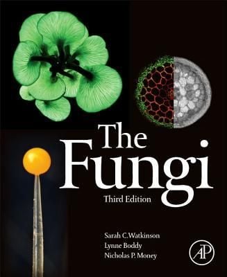 Produktbild: The Fungi