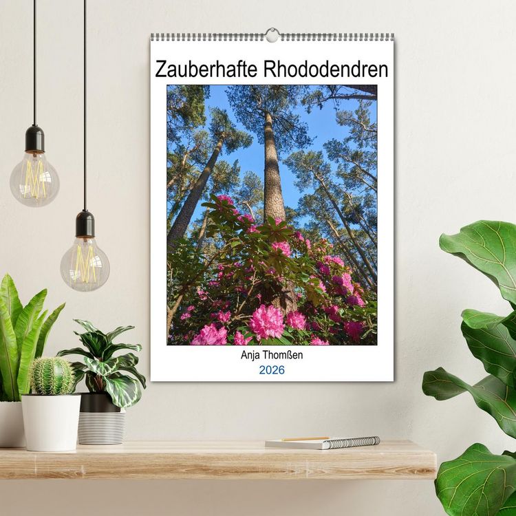 Produktbild: Zauberhafte Rhododendren (Wandkalender 2026 DIN A2 hoch), CALVENDO Monatskalender