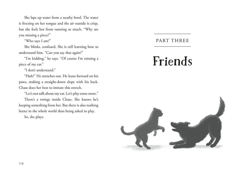 Produktbild: The Unlikely Tale of Chase and Finnegan