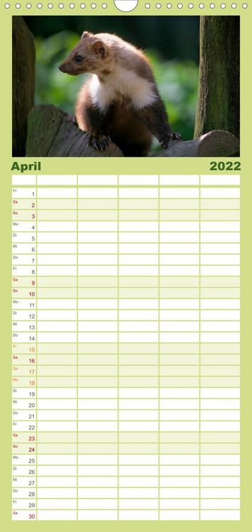 Produktbild: Familienplaner Tiere des Waldes (Wandkalender 2022 , 21 cm x 45 cm, hoch)
