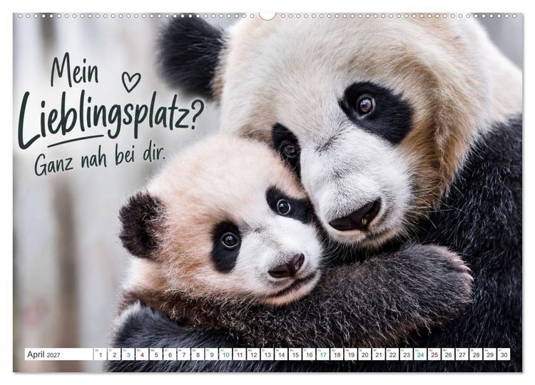 Produktbild: Pandas mit Flausen im Kopf (Wandkalender 2027 DIN A2 quer), CALVENDO Monatskalender