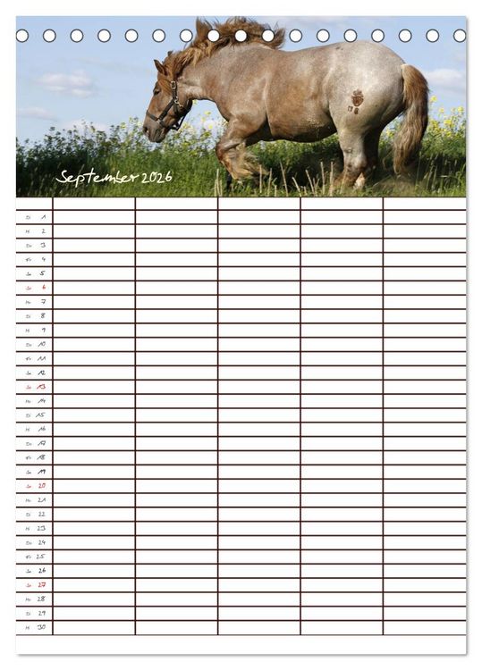 Produktbild: Der Kaltblut-Familienplaner (Tischkalender 2026 DIN A5 hoch), CALVENDO Monatskalender