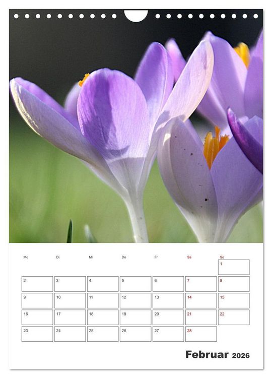 Produktbild: BL&Uuml;TENZAUBER (Wandkalender 2026 DIN A4 hoch), CALVENDO Monatskalender