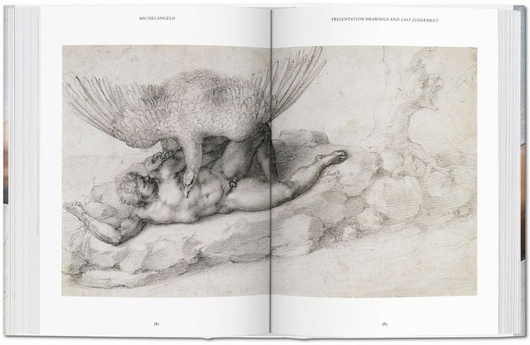 Produktbild: Michelangelo. Das vollständige Werk. Malerei, Skulptur, Architektur