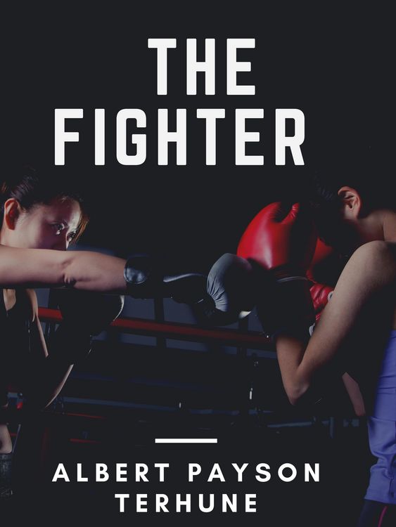 Produktbild: The Fighter
