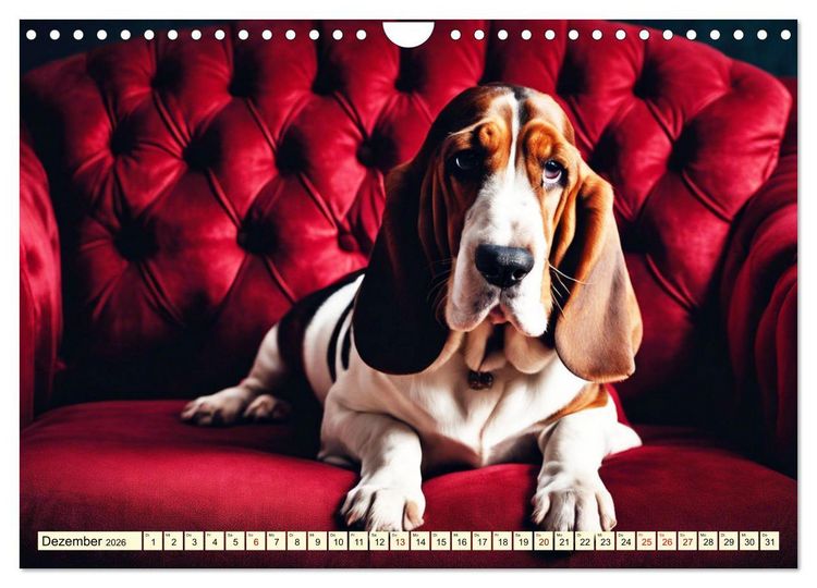 Produktbild: Basset Hound - unverkennbar (Wandkalender 2026 DIN A4 quer), CALVENDO Monatskalender
