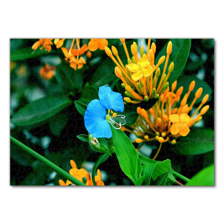 Produktbild: Lais Puzzle Blume 500 Teile
