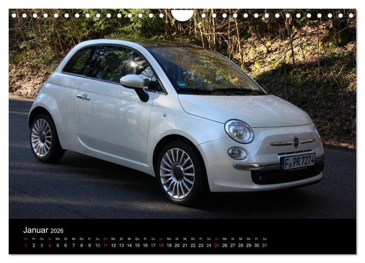 Produktbild: Halbling (Wandkalender 2026 DIN A4 quer), CALVENDO Monatskalender