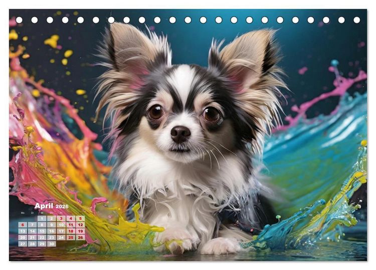 Produktbild: Splash - Hunde im Farbrausch (Tischkalender 2026 DIN A5 quer), CALVENDO Monatskalender