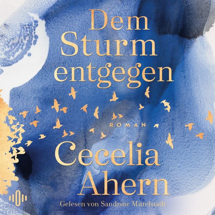 Produktbild: Dem Sturm entgegen