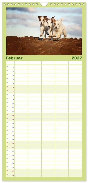 Produktbild: Familienplaner 2027 - Die Parson-Russell-Terrier...mit neuen Abenteuern aus der Hundeknipserei mit 5 Spalten (Wandkalender, 21 x 45 cm) CALVENDO