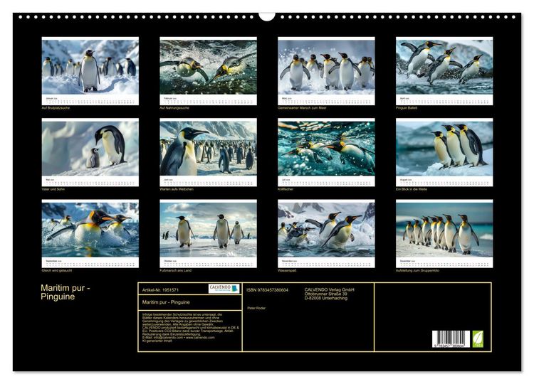 Produktbild: Maritim pur - Pinguine (Wandkalender 2026 DIN A2 quer), CALVENDO Monatskalender