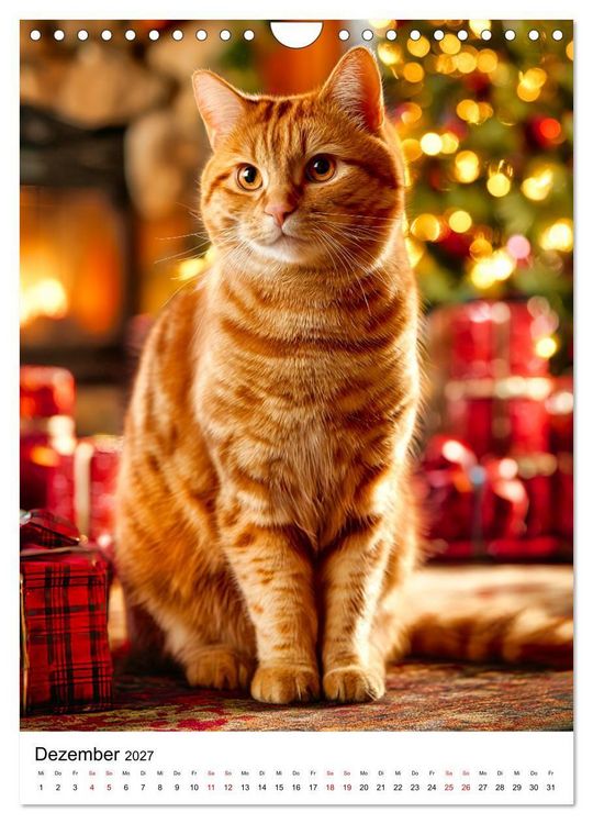 Produktbild: Feuer auf vier Pfoten - Die sch&ouml;nsten roten Katzen (Wandkalender 2027 DIN A4 hoch), CALVENDO Monatskalender