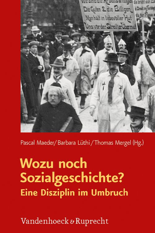 Produktbild: Wozu noch Sozialgeschichte?