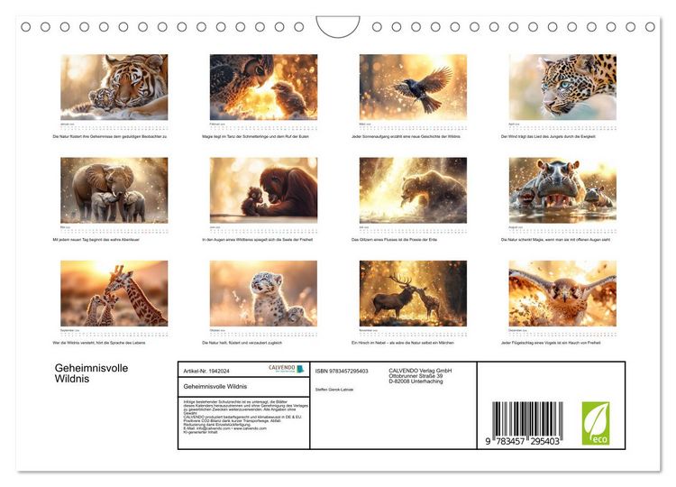 Produktbild: Geheimnisvolle Wildnis (Wandkalender 2026 DIN A4 quer), CALVENDO Monatskalender