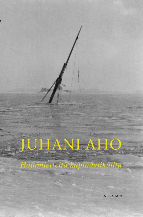 Produktbild: Hajamietteit&auml; kapinaviikoilta