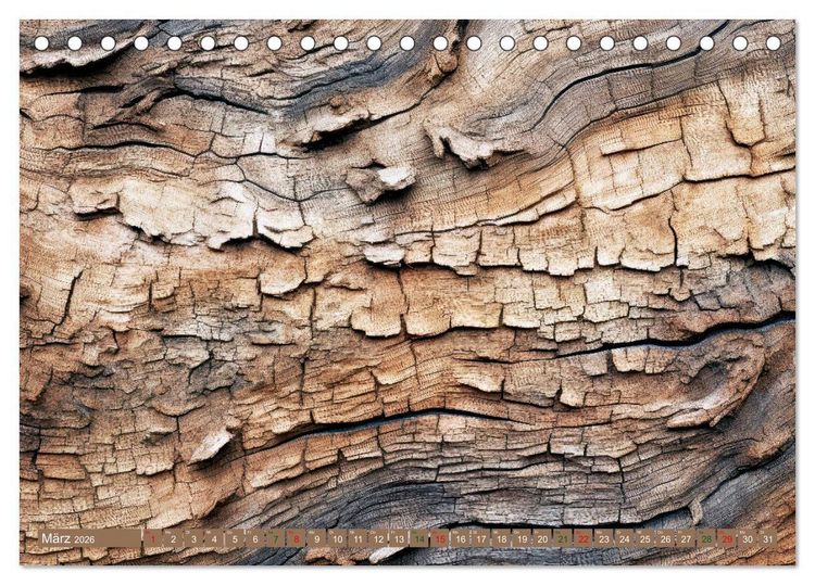 Produktbild: Faszination HOLZ - Strukturen (Tischkalender 2026 DIN A5 quer), CALVENDO Monatskalender