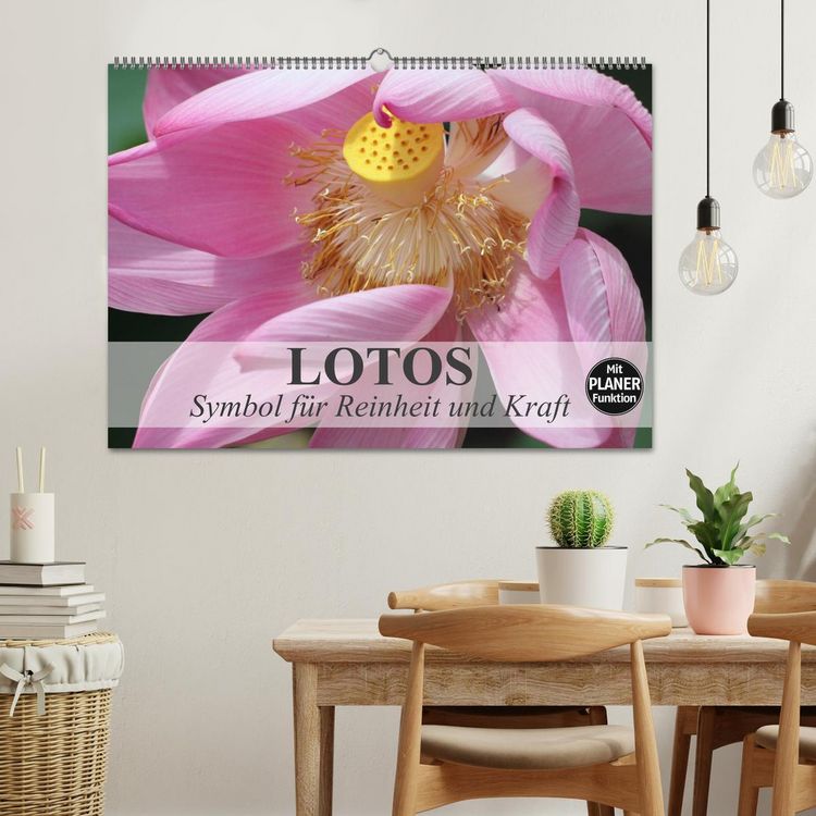 Produktbild: Lotos. Symbol f&uuml;r Reinheit und Kraft (Wandkalender 2026 DIN A2 quer), CALVENDO Monatskalender