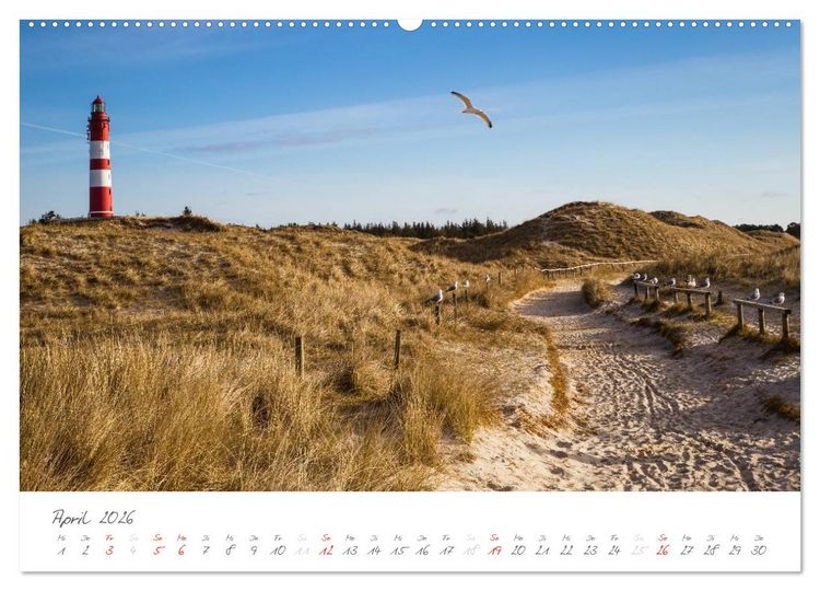 Produktbild: Amrum - Eine farbenfrohe Insellandschaft (hochwertiger Premium Wandkalender 2026 DIN A2 quer), Kunstdruck in Hochglanz