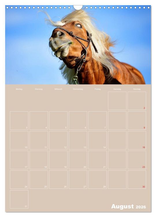 Produktbild: Pferde / Planer (Wandkalender 2026 DIN A3 hoch), CALVENDO Monatskalender