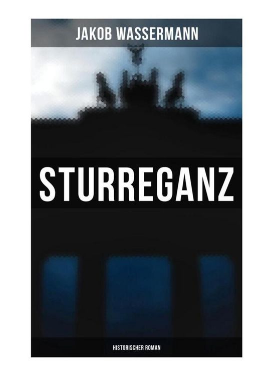 Produktbild: Sturreganz: Historischer Roman